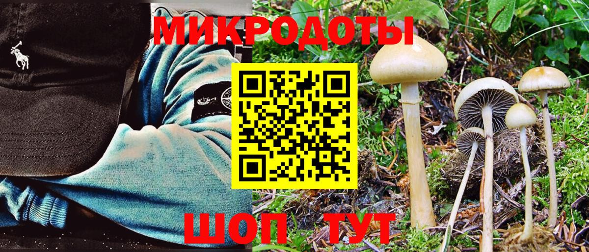 Орехово-Зуево  Псилоцибиновые грибы Psilocybe  Вход с VPN 